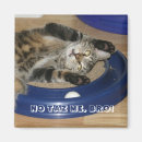 Suche nach bro magnete Katze
