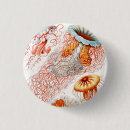 Recherche de animaux marins badges Méduse