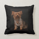 Suche nach für den yorkshire terrier kissen Niedlich