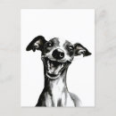 Suche nach sighthound poster Welpe