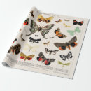 Recherche de histoire papier cadeau Papillon