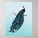 Suche nach vintager pfau poster Blau