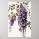 Recherche de glycine posters Fleurs violettes