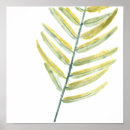 Recherche de palmier posters Feuille