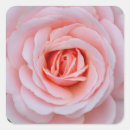 Recherche de beauté nature autocollants Printemps