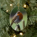 Suche nach wildvogel ornamente Wild lebende tiere