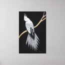 Suche nach pearl leinwandbilder Vögel