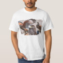 Suche nach feilbieten tshirts Falknerei