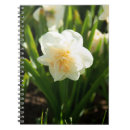 Suche nach weiße hochzeit kleine notizbücher Natur