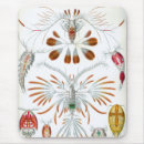 Suche nach krebstiere mousepads Meeresleben