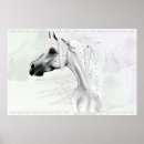 Suche nach appaloosa poster Einheimisch