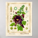 Recherche de hollyhock posters Jarret