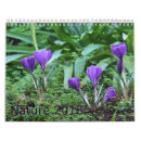 Suche nach flora kalender Vögel