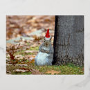 Suche nach lustiges eichhörnchen postkarten Weihnachten