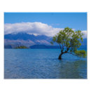 Suche nach nz poster Foto