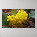 Suche nach gelbe blumen poster Wildblume