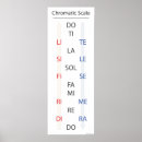 Suche nach scale poster Music