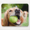 Suche nach tennisball mousepads Welpe