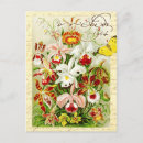 Suche nach rote orchidee poster Vintag