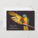 Recherche de plumes colorées vœux cartes Faune