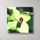 Recherche de de coccinelle art Pour elle