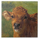 Recherche de vache mignonne carreaux Veau