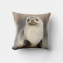 Recherche de phoque coussins Faune