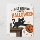 Recherche de chat drôle invitations Pour amateur de chats