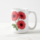 Recherche de fleurs de marguerite gerbera tasses Marguerites