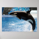 Recherche de tueur de c art Animal