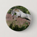 Recherche de galop badges Cheval