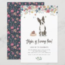 Recherche de boston terrier birthday Anniversaire