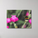 Suche nach hummel poster leinwandbilder Botanisch