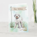 Suche nach dog breed Geburtstag