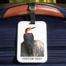 Recherche de oiseaux rouges Pour lui