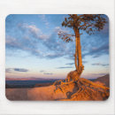 Suche nach schlucht mousepads Consumerproduct