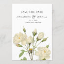 Recherche de histoire naturelle invitations Élégant