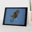 Recherche de rapaces vœux cartes Pour lui