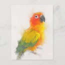 Recherche de perroquet mignon cartes postales Consin