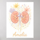 Suche nach nieren poster Dialysetechniker