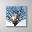 Suche nach wintersonne Himmel