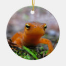 Recherche de salamandre ornements Animaux