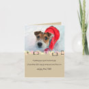 Recherche de chiot de terrier de russell Photographie
