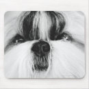 Recherche de tzu shih tapis souris Dog