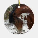 Recherche de mustang ornements Américain