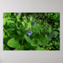 Suche nach purples poster Natur