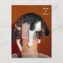 Suche nach traurige katze postkarten Spaß