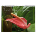 Suche nach tropisch kalender 2025