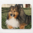 Suche nach yard mousepads Welpe