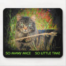 Suche nach wenig mousepads Katzen